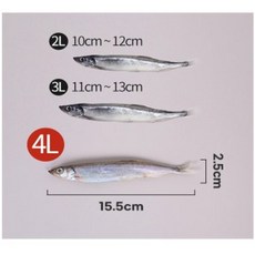 1+1 올곧은 알이 꽉찬 아이슬란드산 열빙어 시사모 총1kg 50미 선술집, 2개