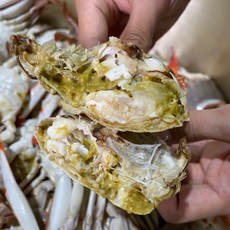 숫게시세