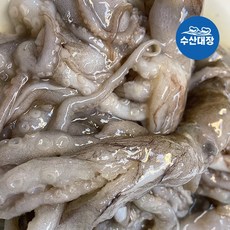 냉동낙지연포탕