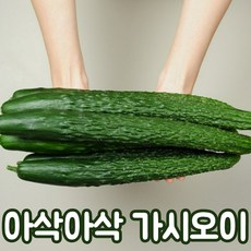 오이한박스