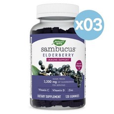 Nature's Way 네이처스 웨이 삼부커스 엘더베리 허브 서플리먼트 구미 120개입 3팩 Sambucus Elderberry Herbal Supplement Gummies, 3개