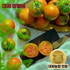 짭짤이토마토 TOP01
