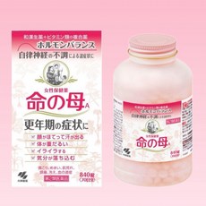 일본한텐 TOP01