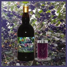 아로니아발효액