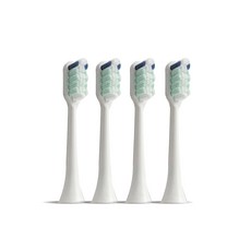 덴트릭스칫솔모