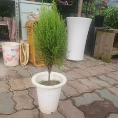 ff297a2edcbc51cb1715062cf679382e9f8cf5d02f86ba83d620b9e6b13e.jpg