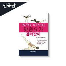 질병을치료하는맞춤요가길라잡이