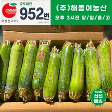 <해돋이농산> 국내산 애호박 못난이상품 20개입, 20개’ /></div>
<div style=