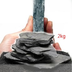 편석 2Kg