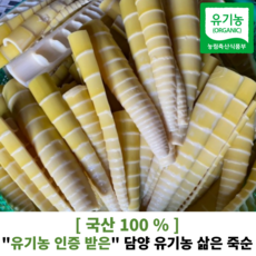 [ 국산100% ] 유기농 인증 받은 유기농 삶은 죽순 500g / 1kg 통죽순 찢은죽순 다이어트 변비해소 삶은죽순 햇죽순 대나무순 죽순나물, 찢은 죽순 500g, 1개
