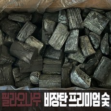 쇳소리비장탄