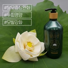 피엘메드