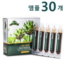 아티소앰플