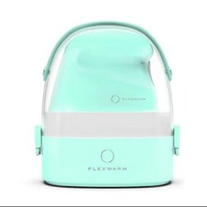 테팔엑시오스팀다리미