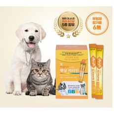 리얼펫 햇살 비타민 60포 반려동물 유산균 미네랄, 면역/활력, 1개