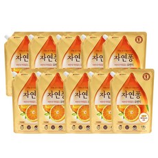 자연퐁 TOP01
