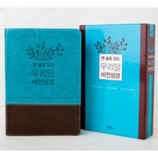 큰글로읽는우리말비전성경두란노