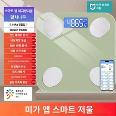 샤오미 인바디 체중계 스마트 기계 체지방 가정용, USB 충전, 그린, 1개