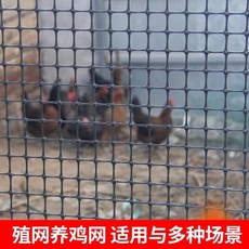 펜스안전 그물망 닭장 고라니 노우 비닐보호 울타리 격리 양식 거름망 발코니 안전 팬던트 0.9mm-2x50m, 1개