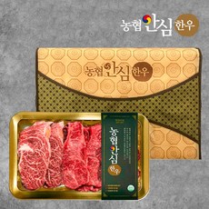 [추석] 농협한우 1등급 한우 선물세트, 등300+등300+채300+안300, 1개
