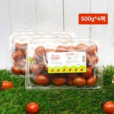 [공장직송] 스테비아 샤인마토 대추방울토마토 2kg (500g*4팩)