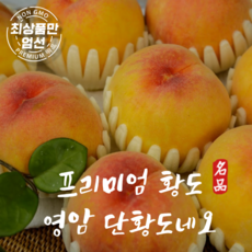 단황도