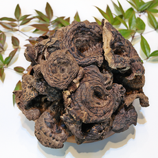 건 능이버섯 업소용 대용량, 1개, 1kg(S급)