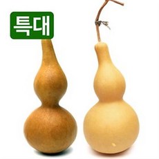 박바가지