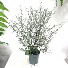 1d97aaa0bfd286d5ec2ec51a188c729c3dbbea87e20bc42ff84ff3fb3e5e.jpg