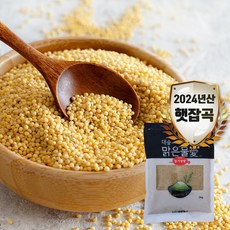 [대숲맑은물애] 24년산 노란빛깔 기운찬 찰기장쌀 1kg-5kg, 1개, 2kg