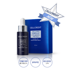 셀크레딧