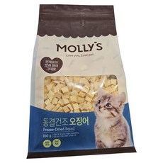 몰리스 동결건조 오징어, 1개, 100g