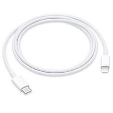 Apple 정품 Lightning-C타입 충전 케이블, 1m, 1개