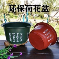 fb7a3595a735159d6b93a8d1035935d601139b2812b29535ae7c9ddf67be.jpeg