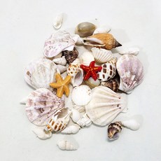한소픈 조개 소라 껍데기 모듬 DIY 소품 어항 피규어 젤 캔들 장식 미니어처 여름 소품 바다 장식, 작은불가사리