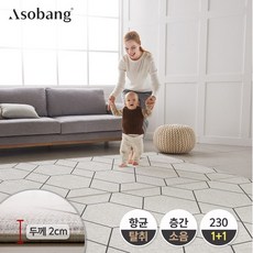 아소방1+1