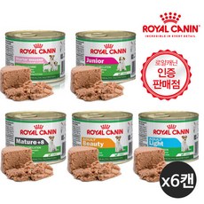 [로얄캐닌] 강아지캔 5종 195g x 6개/습식사료/주니어/어덜트/머츄어, 상품선택:스타터 무스마더n베이비독