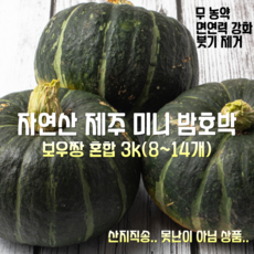 [산지직송] 유기농 제주 강원 미니 밤호박 보우짱 혼합 3k 8~14개, 1박스