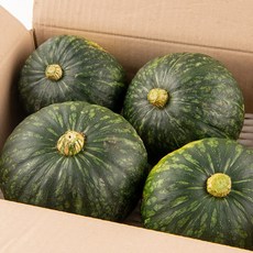 맑은 괴산에서 자란 미니 단(밤)호박_보우짱, 1박스, 1kg 2~4개