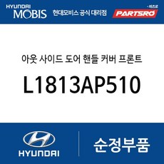 아웃 사이드 도어 핸들 커버 프론트 우 (L1813AP510) 쏘나타 DN8