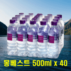 버니몽아모르