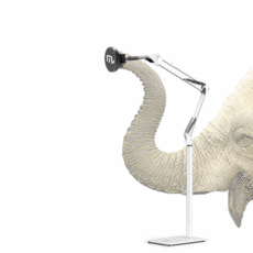 코끼리리빙거치대중