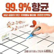 꿈꾸는 하우스 항균99.8% 무독성 고급셀프줄눈 곰팡이방지 화장실타일줄눈코팅제 [샤이니 바닥용-150g], 150g:02 흑진주