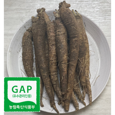 우수관리 인증-강원도 홍천 더덕 흙더덕 중 상 특, 1kg (하), 1개