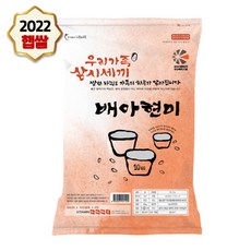 나노현미