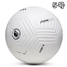 프리미어리그매치볼