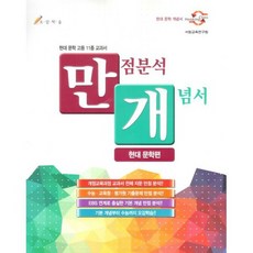 만점분석 개념서 : 현대 문학편