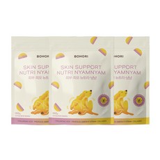 보호리 강아지 피부 피모 영양제 뉴트리냠냠 60개입 150g, 3개
