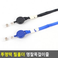 모형초