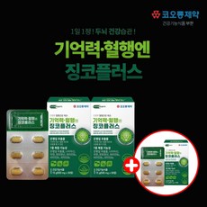 갱년기치료치매예방